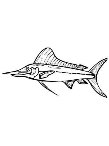 Marlin Fish Coloring Page